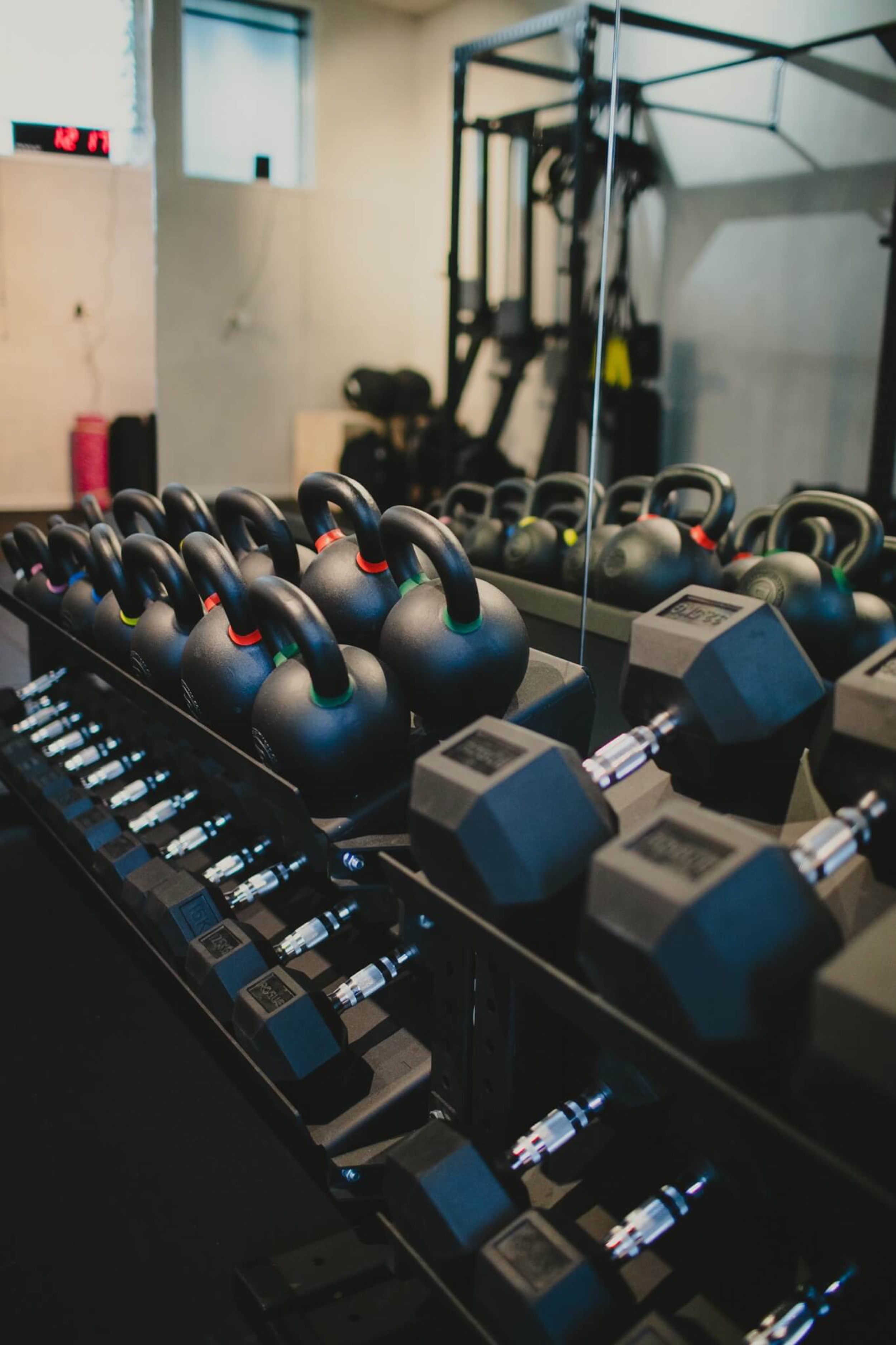 Freddies-Studio-dumbbells