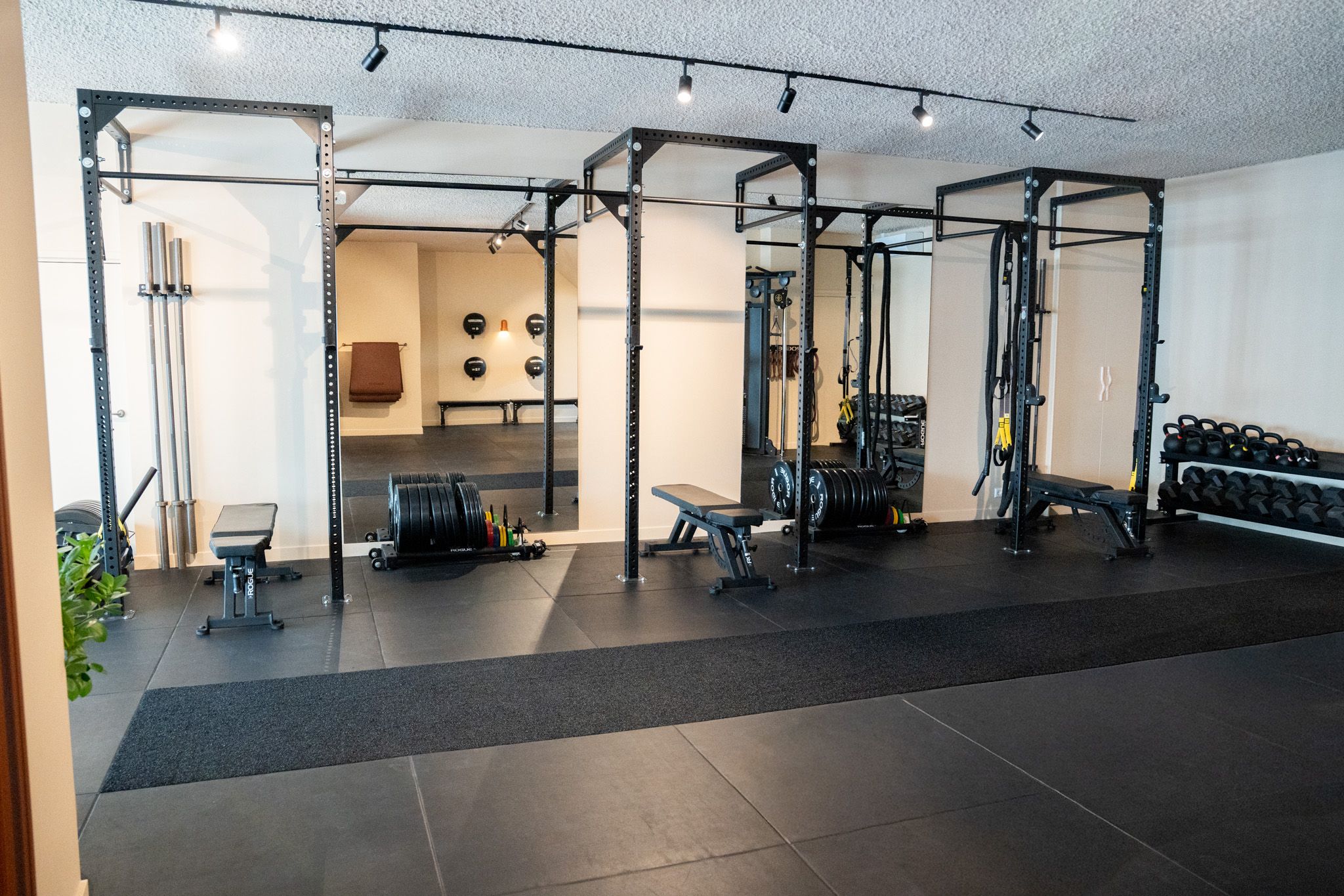 freddies studio bussum brede opname fitnessruimte power racks vanuit ingang met plant