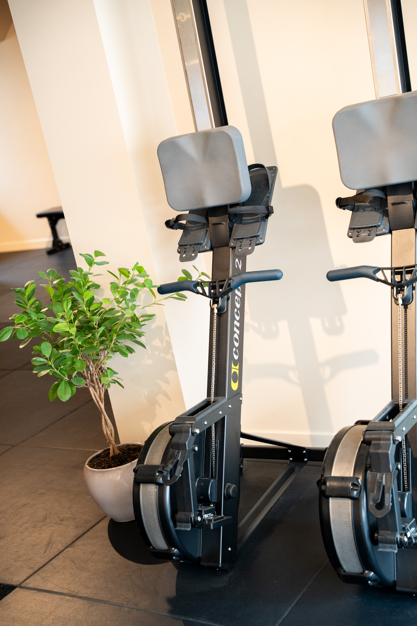 freddies-studio-bussum-close-up-onderkant-roeitrainers-met-plant-op-voorgrond