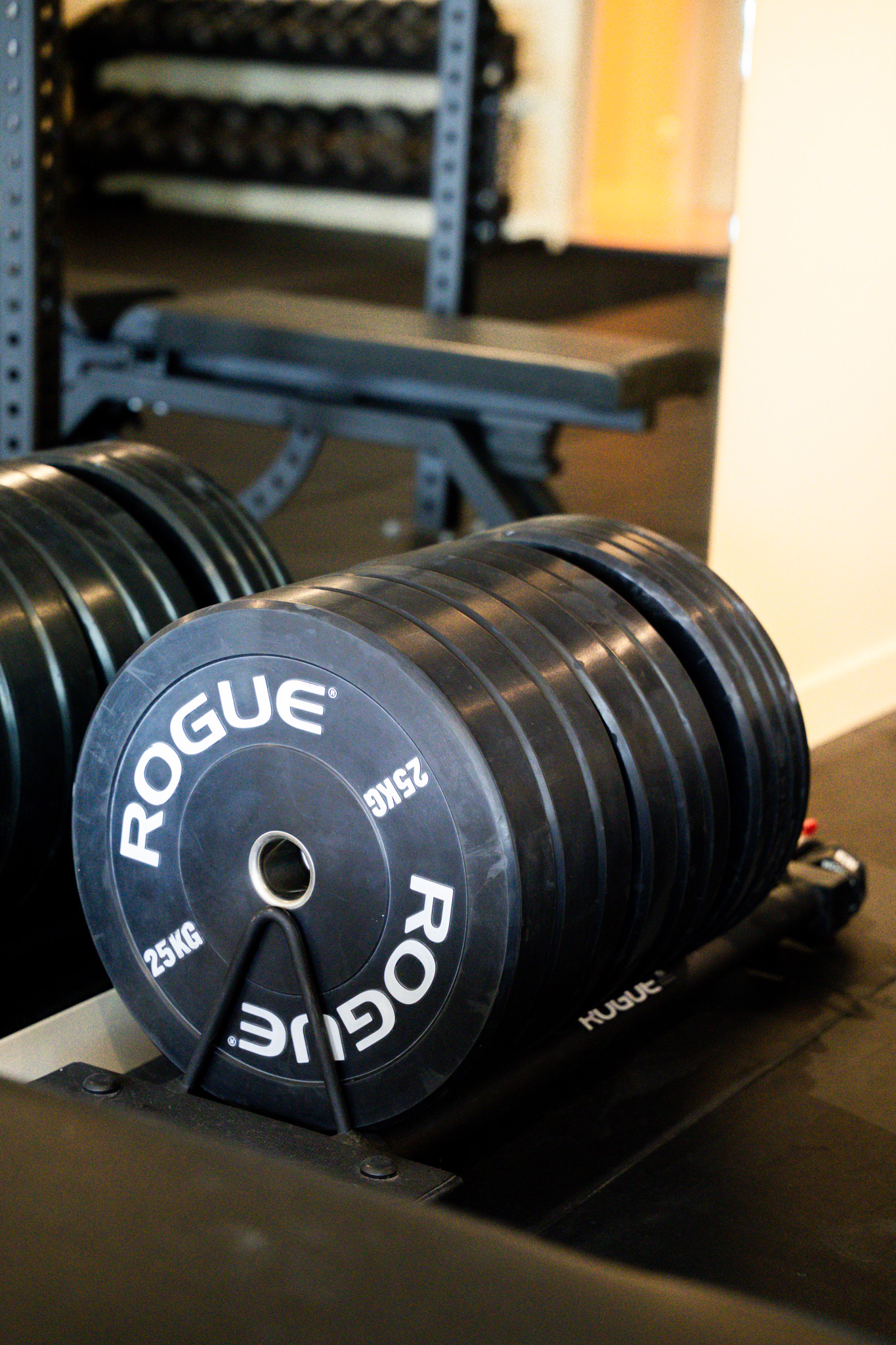 freddies-studio-bussum-close-up-rogue-vijfentwintig-kg-gewichtsschijven-op-sled