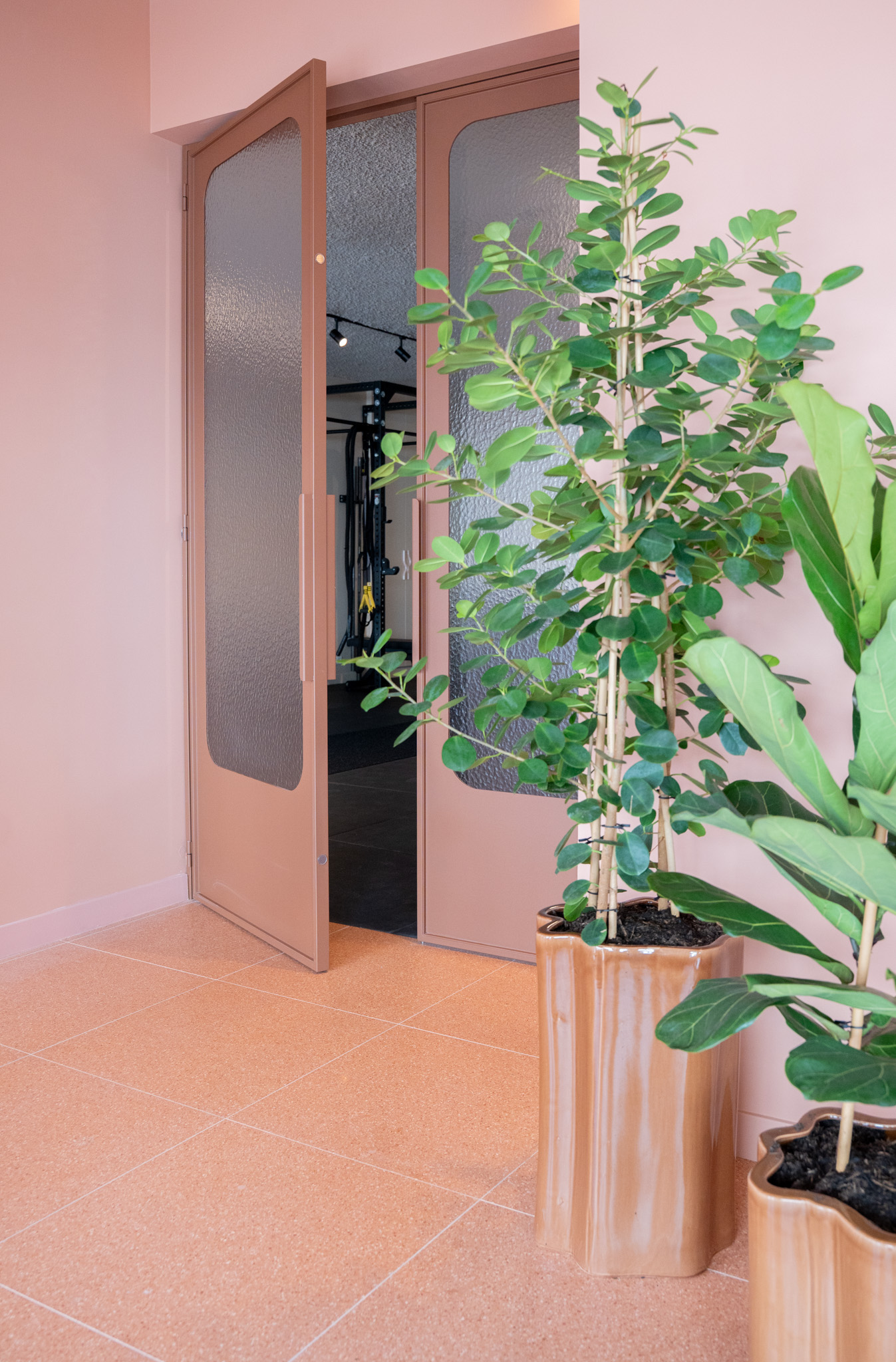 freddies-studio-bussum-doorkijk-glazen-deur-naar-fitnessruimte-met-power-rack-andere-hoek