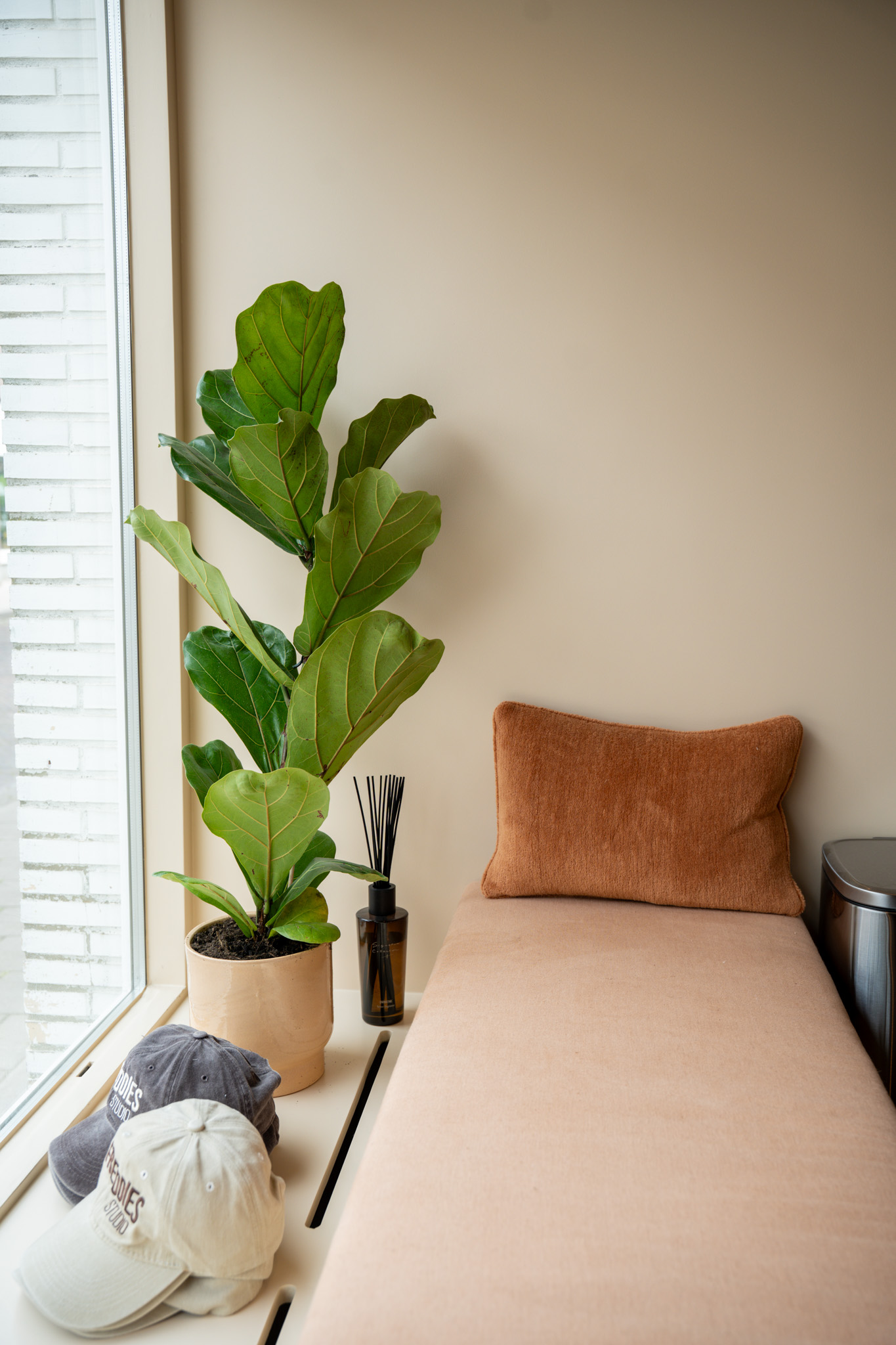 freddies-studio-bussum-vijgenbladplant-in-pot-op-vensterbank-met-terracotta-kussen-op-achtergrond